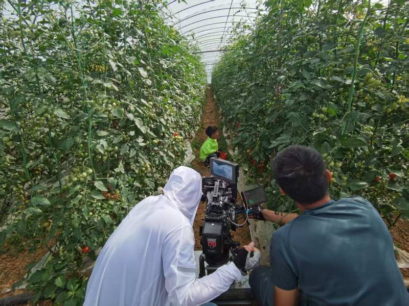 疏附县产品宣传视频拍摄公司进阶指南，助力品牌抢占传播高地